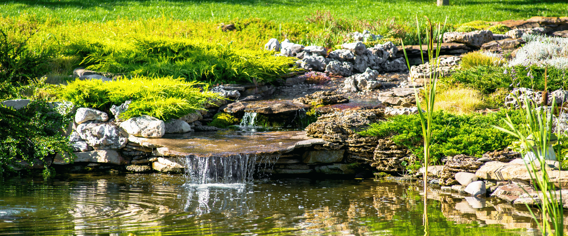 Bassin extérieur à Saintes